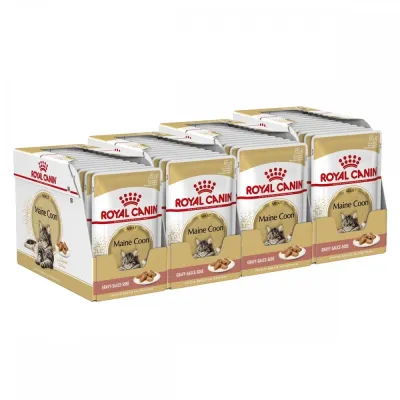 Royal Canin Maine Coon 85g, 48-pack, kuva 1 / 1