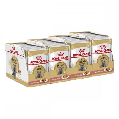 Royal Canin British Shorthair 85g, 48-pack