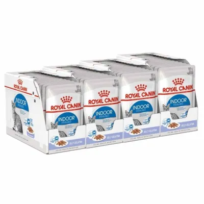 Royal Canin Indoor Jelly 85 g, 48-pack, kuva 1 / 1