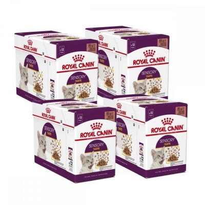 Royal Canin Sensory Taste Gravy 85g, 48-pack