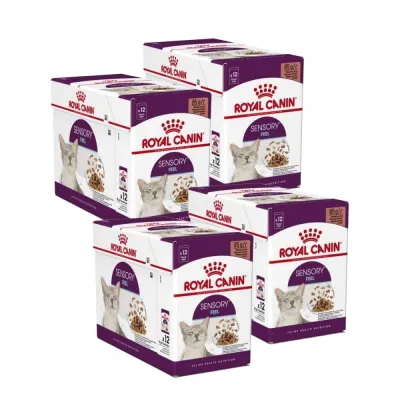 Royal Canin Sensory Feel Gravy 85g, 48-pack, kuva 1 / 1