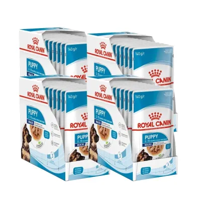 Royal Canin Maxi Puppy 40x140 g, kuva 1 / 1