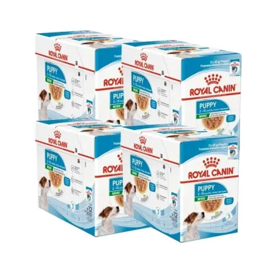 Royal Canin Mini Puppy 48x85g, kuva 1 / 1