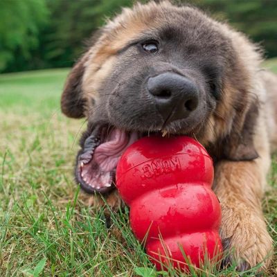 KONG Classic Original (S)