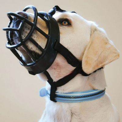 Baskerville Kuonokoppa Ultra (6)