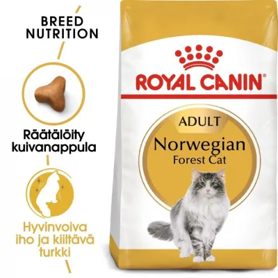 Royal Canin Norwegian Forest Cat (2 kg), kuva 1 / 1