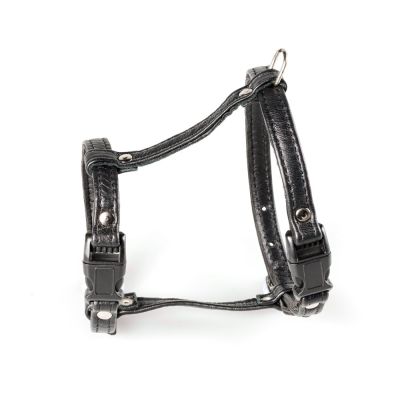 Feel Leather Kissanvaljaat Feel Meow Nappa, musta (S)