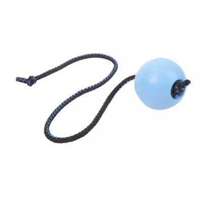 Pro Dog Soft Rubber narupallo 60cm (Turkoosi), kuva 1 / 1
