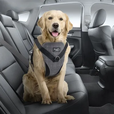All For Paws koiran autovaljaat (XL)