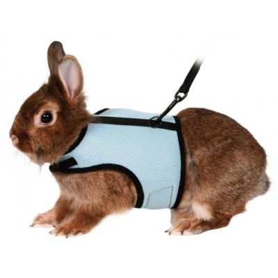 Valjaat ja talutin kääpiökanille, Trixie