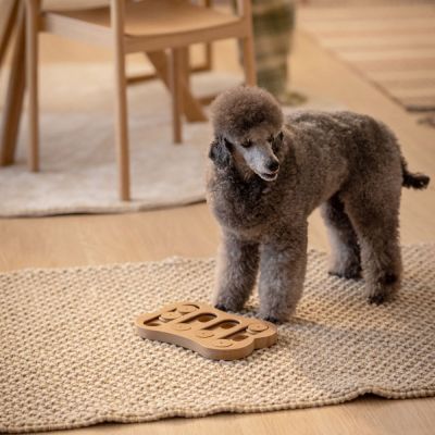 Little&Bigger Aktivointipeli L&B Shuffle Bone M