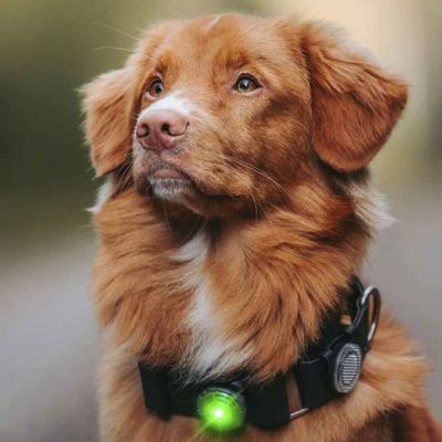 Orbiloc Dual -huomiovalo (Vihreä)