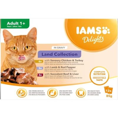 IAMS Delights Gravy Lihalajitelma 12 x 85 g