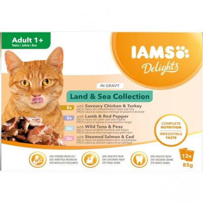 IAMS Delights Gravy Liha- & kalalajitelma 12 x 85 g