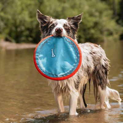 Chuckit Paraflight L