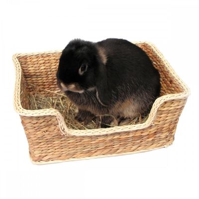 Peti Rosewood Chill 'n' Snooze