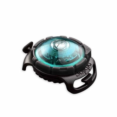 Orbiloc Dual -huomiovalo (Turkoosi)