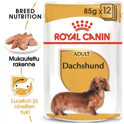 Royal Canin Dachshund Wet 12x85g, kuva 1 / 1
