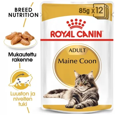 Royal Canin Maine Coon Wet 12 x 85 g, kuva 1 / 1