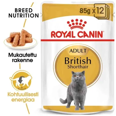 Royal Canin British Shorthair Wet 12 x 85g, kuva 1 / 1