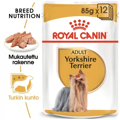 Royal Canin Yorkshire Wet 12 x 85 g, kuva 1 / 1