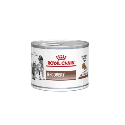 Royal Canin Veterinary Diets Royal Canin Dog&Cat Recovery wet, 12 x 195 g, kuva 1 / 1