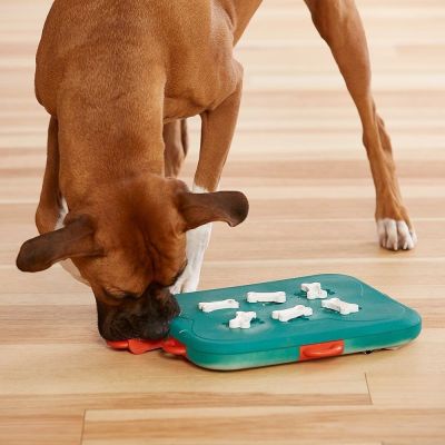 Nina Ottosson Aktivointilelu Dog Casino, turkoosi