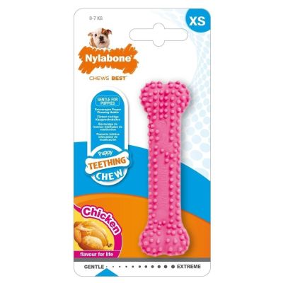 Nylabone Puppy Teething Dental Chew XS