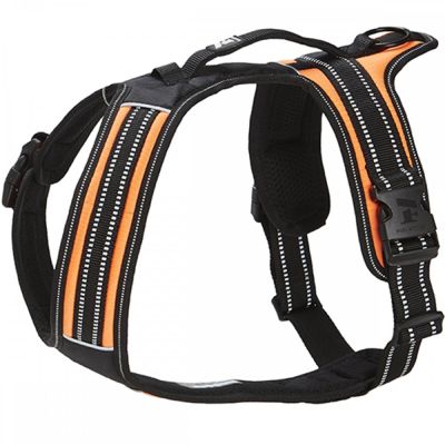 Feel Active Koiran valjaat FA Sport, oranssi (M)