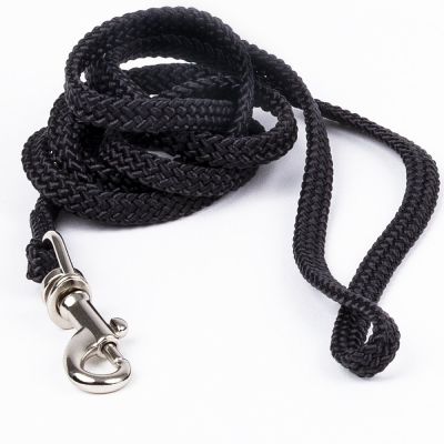 Näyttelyhihna Show Dog hop.lukko, musta (5 mm)