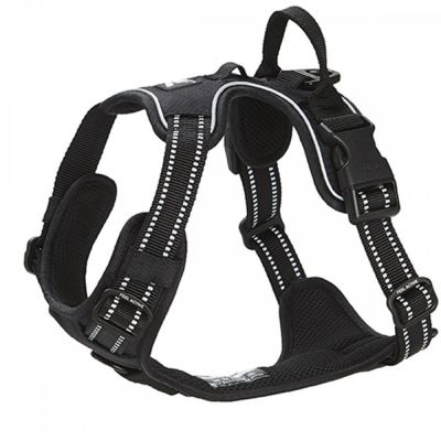 Feel Active Koiran valjaat FA Training, musta (XL)