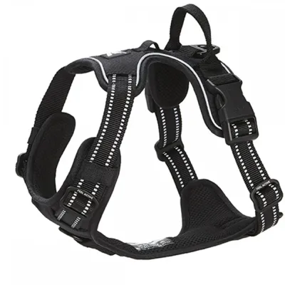 Feel Active Koiran valjaat FA Training, musta (XL), kuva 1 / 1