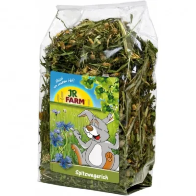Jr Farm heinäratamo, 100 g, kuva 1 / 1