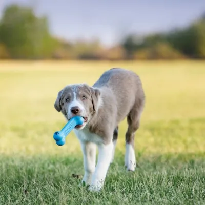 Kong Puppy Goodie Bone, S, kuva 1 / 1