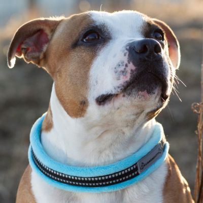 Panta Kusse&Kutta, turkoosi (3)