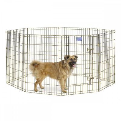 Midwest Pentuaitaus Gold Zinc, kulta (91 x 61 cm x 8 kpl / 36")