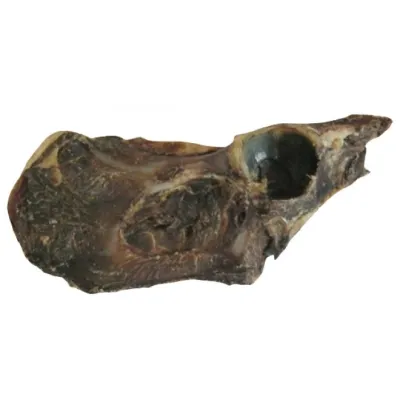 Poron lantio Polar Pet, 600 g