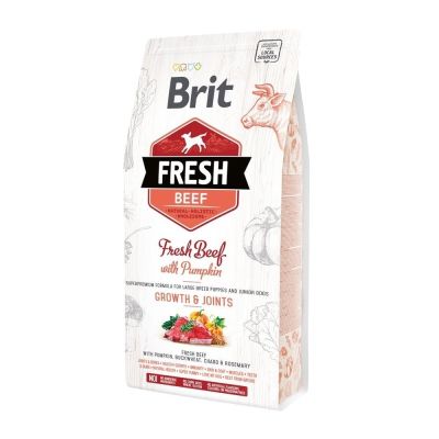 Brit Fresh Beef&Pumpkin PuppyLarge (12 kg)