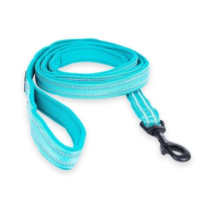 Talutushihna Feel Active Padded, turkoosi (15 mm x 200 cm)