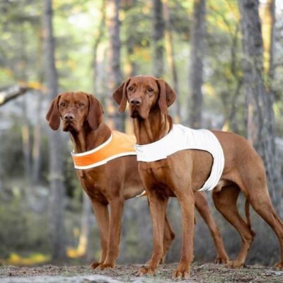 Koiran heijastinliivi Feel Active (XL)