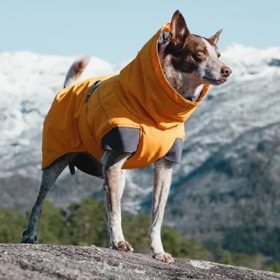 Hurtta Expedition parka tyrni (30 cm), kuva 1 / 1