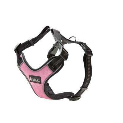 Pehmustettu valjas Basic First roosa (L)