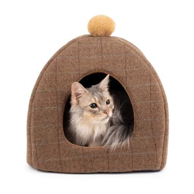 Kissan pesä Basic Tweety