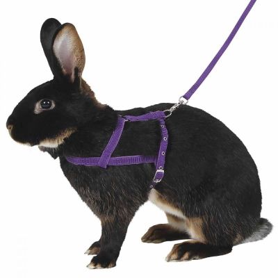 Kanin lapavaljaat Kerbl (M)