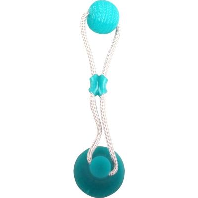 Koiran imukuppilelu Pawise