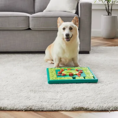 Nina Ottosson Dog MultiPuzzle vihreä, kuva 1 / 1