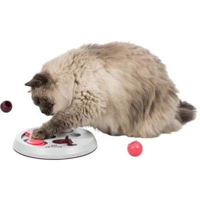Trixie Kissan aktivointilelu Flip Board, kuva 1 / 1