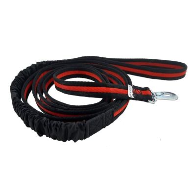 Joustotalutin koiralle Baggen, punainen (2 m)