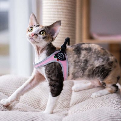 Tre Ponti Easy Fit valjaat, vaaleanpunainen (2)