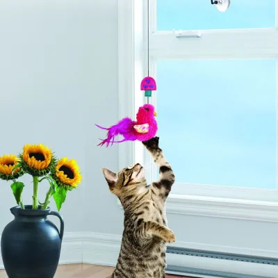 Kong Cat Connects Window Teaser, kuva 1 / 1